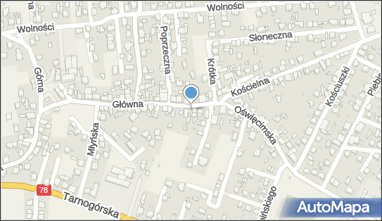 6451678658, Kwiaciarnia Frezja, Pośrednictwo Nieruchomości DOM-POL, Firma Sprzątająca 