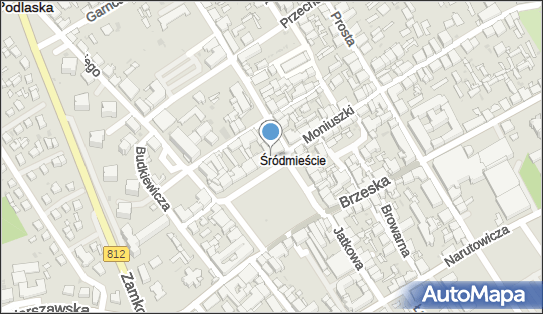 5371174990, Bielińska Alina, Kwiaciarnia 