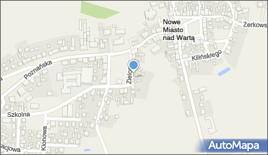Kwiaciarnia Irys, Zielony Rynek 4, Nowe Miasto nad Wartą 63-040 - Kwiaciarnia, numer telefonu