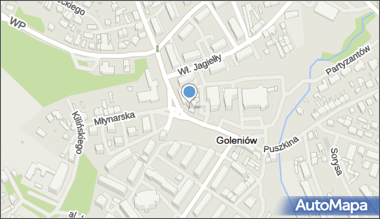Kwiaciarnia Lotos Walczak Ewa, ul. Aleksandra Puszkina 1A, Goleniów 72-100 - Kwiaciarnia, NIP: 8561408990