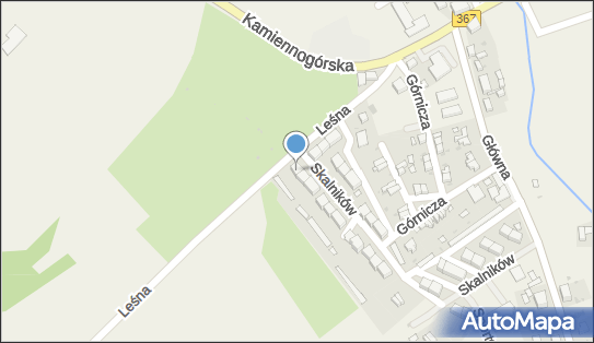 6141162972, Kwiaciarnia Patrycja Elżbieta Czerwiak 