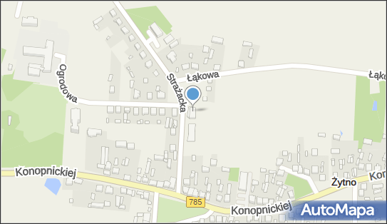 6561495640, Anna Falana - Kwiaciarnia 