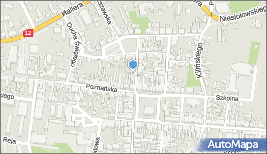 250455899, Kwiaciarnia 