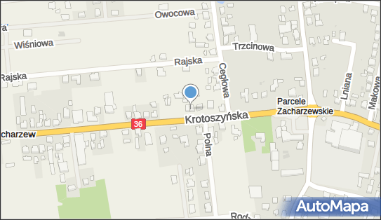 Kwiaciarnia Stokrotki Janusz Sienkiewicz, ul. Krotoszyńska 4A 63-400 - Kwiaciarnia, NIP: 6221320640