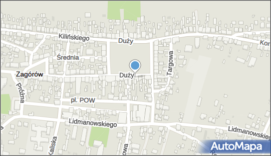 Kwiaciarnia Storczyk Iwona Witasik, ul. Duży Rynek 30, Zagórów 62-410 - Kwiaciarnia, NIP: 6671122348
