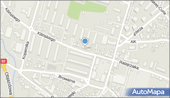 Kwiaciarnia Twórczy Miszmasz Agnieszka Łyskawka, Słupca 62-400 - Kwiaciarnia, NIP: 6652620192