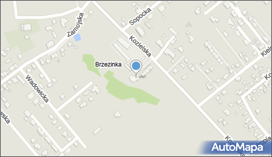 9691277788, Kwiaciarnia 