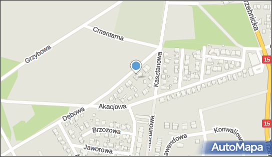 9161301148, Kwiaciarnia 