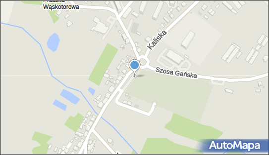 Kwiaciarnia, Kaliska 26, Praszka 46-320 - Kwiaciarnia