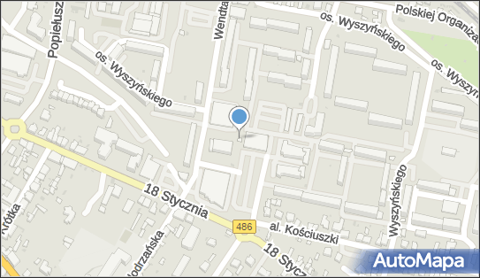Kwiaciarnia, Osiedle Wyszyńskiego Stefana, ks. kard. 42, Wieluń 98-300 - Kwiaciarnia