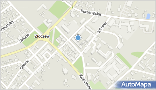 Kwiaciarnia, Szeroka 11, Złoczew 98-270 - Kwiaciarnia, NIP: 8271899353