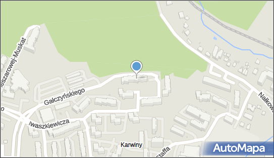 5891216654, Michał Hapka i.Kwiaciarnia II.Plus Minus 
