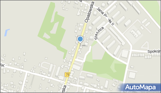 Kwiaciarnia, Opatowska 40, Staszów 28-200 - Kwiaciarnia, numer telefonu, NIP: 8661006593