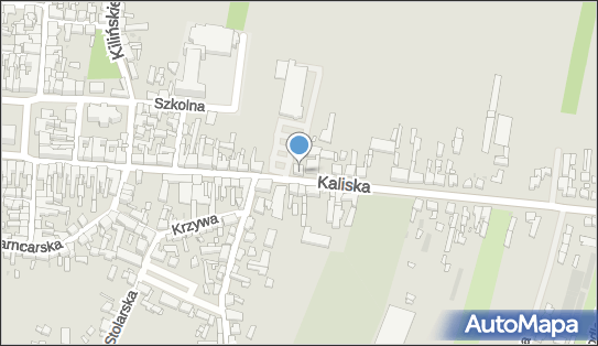 6171028333, Kwiaciarnia - Henryka Wróblewska 