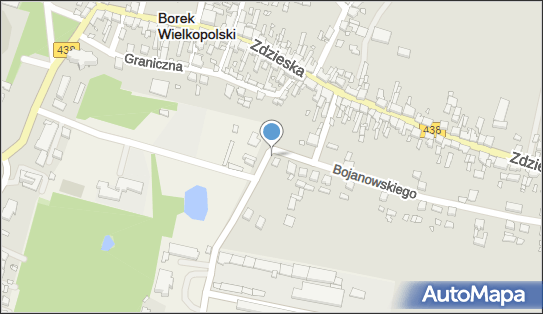 Kwiaciarnia, Pogorzelska 3, Borek Wielkopolski 63-810 - Kwiaciarnia, numer telefonu