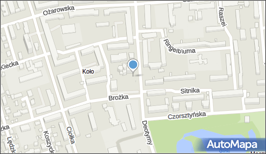 Kwiaciarnia, Deotymy 39, Warszawa 01-409 - Kwiaciarnia