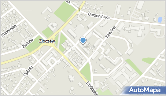 Kwiaciarnia, Szeroka 9, Złoczew 98-270 - Kwiaciarnia
