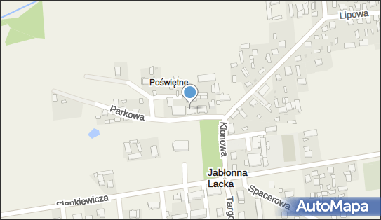 Kwiaciarnia, Parkowa 6, Jabłonna Lacka 08-304 - Kwiaciarnia