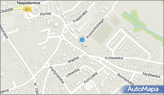 Kwiaciarnia, Bocheńska 11, Niepołomice 32-005 - Kwiaciarnia