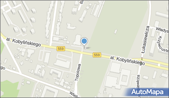 Kwiaciarnia, Aleja Floriana Kobylińskiego, Płock - Kwiaciarnia