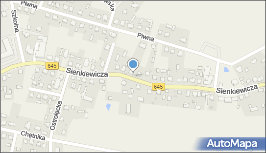 Kwiaciarnia, Sienkiewicza Henryka645, Łyse 07-437 - Kwiaciarnia