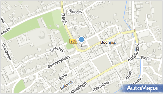 Kwiaciarnia, Kraszewskiego Józefa Ignacego 2A, Bochnia 32-700 - Kwiaciarnia