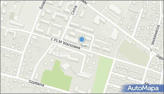 Kwiaciarnia, 1 PLM Warszawa, Mińsk Mazowiecki 05-300 - Kwiaciarnia