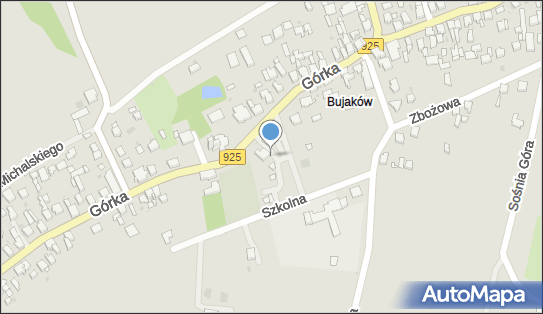 Kwiaciarnia, Górka Franciszka, ks.925 27, Mikołów 43-196 - Kwiaciarnia