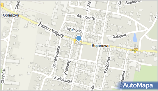 Kwiaciarnia, Rynek 25, Bojanowo 63-940 - Kwiaciarnia