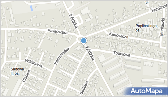 Kwiaciarnia, Łódzka 60A, Piotrków Trybunalski 97-300 - Kwiaciarnia