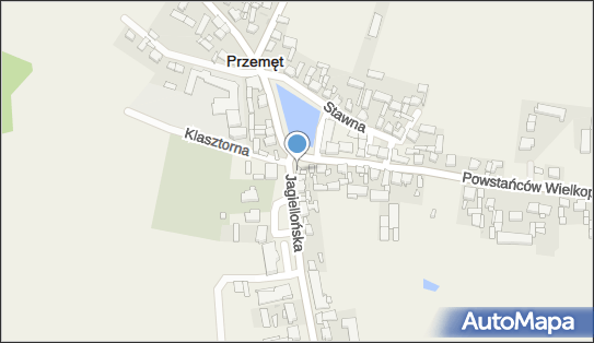 Kwiaciarnia, Jagiellońska 1, Przemęt 64-234 - Kwiaciarnia