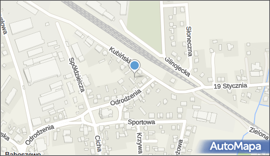 Kwiaciarnia, Kubińskiego Alfreda, Baboszewo 09-130 - Kwiaciarnia