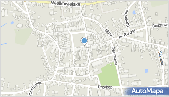 Kwiaciarnia, Plac Przemysława 1, Buk 64-320 - Kwiaciarnia