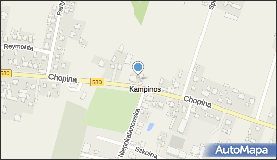 Kwiaciarnia, Fryderyka Chopina 17, Kampinos - Kwiaciarnia