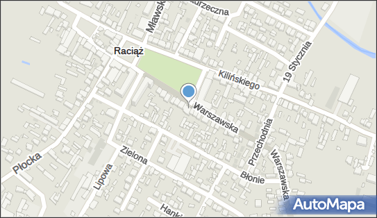 Kwiaciarnia, Plac Adama Mickiewicza 23, Raciąż 09-140 - Kwiaciarnia