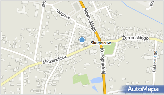 Kwiaciarnia, DW 733, Adama Mickiewicza 10, Skaryszew 26-640 - Kwiaciarnia