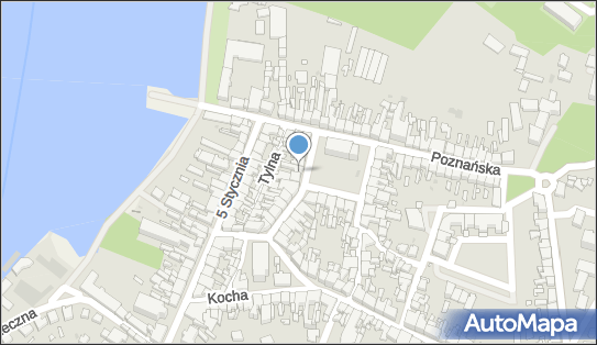 Kwiatowe Impresje, Rynek 6, Wolsztyn 64-200 - Kwiaciarnia, godziny otwarcia