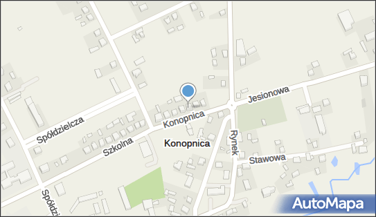 8321138628, Józefa Niewiadomska Kwiaty i Artykuły Wielobranżowe 