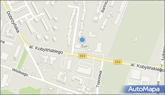 Magnolia, Aleja Floriana Kobylińskiego 32, Płock 09-400 - Kwiaciarnia