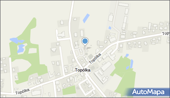 Stokrotka, Topólka 29a, Topólka 87-875 - Kwiaciarnia