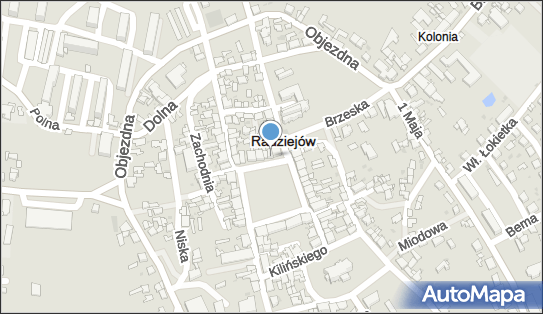 Zakład Usług Pogrzebowych i Kwiaciarnia Storczyk, ul. Rynek 16 88-200 - Kwiaciarnia, numer telefonu, NIP: 5561173278