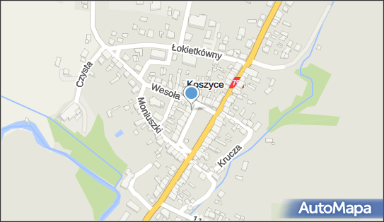 Lewiatan - Sklep, Ul. Rynek 23, Koszyce 32-130, godziny otwarcia