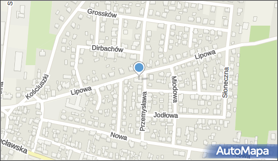 Lewiatan - Sklep, Przemysława 2, Bralin 63-640, godziny otwarcia