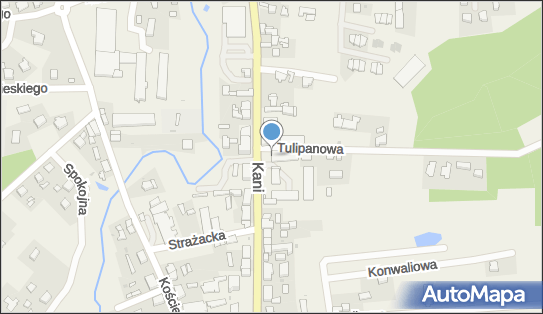 Lewiatan - Sklep, Ks. Antoniego Kani 29 A, Dębnica Kaszubska 76-248, godziny otwarcia