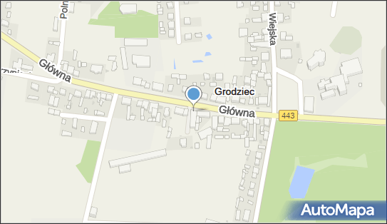 Lewiatan - Sklep, Ul. Główna 13, Grodziec 62-580, godziny otwarcia