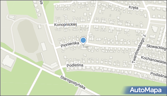 Lewiatan - Sklep, Pionierska 31, Gostyń 63-800, godziny otwarcia