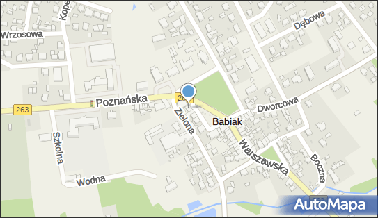 Lewiatan - Sklep, Pl. Wolności 16, Babiak 62-620, godziny otwarcia