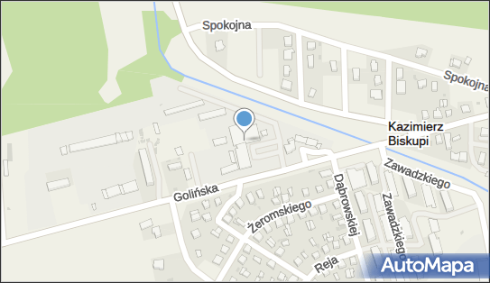 Lewiatan - Sklep, Golińska 10, Kazimierz Biskupi 62-530, godziny otwarcia