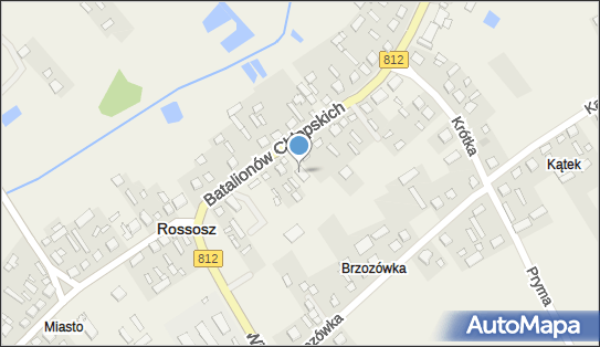 Lewiatan - Sklep, Batalionów Chłopskich 77 A, Rossosz 21-533, godziny otwarcia