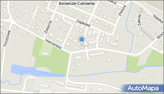 Lewiatan - Sklep, Borowicka 1B, Płock 09-408, godziny otwarcia